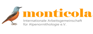 Monticola