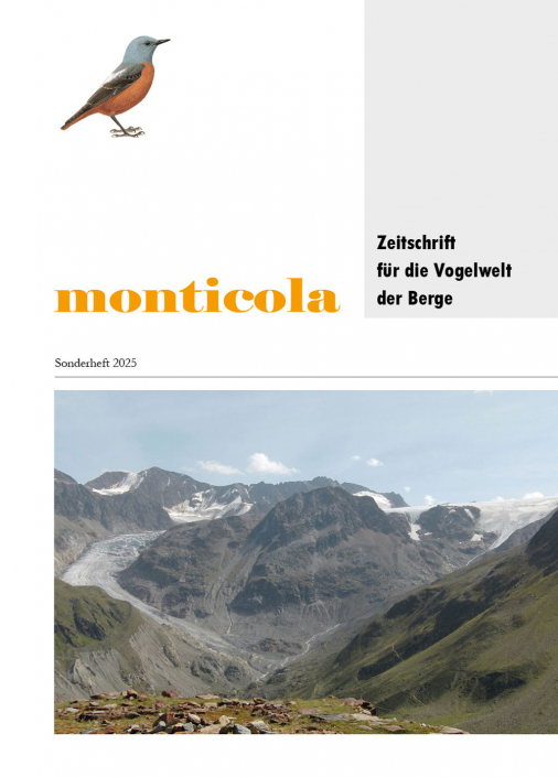 Titelblatt Monticola Sonderheft 2025 - Kaunertal, Gepatschferner (Foto: C. Lunczer)